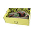 Ażurowe sandały FLY London Yellow Yoda Perf. P500279011 petrol-red-lt grey
